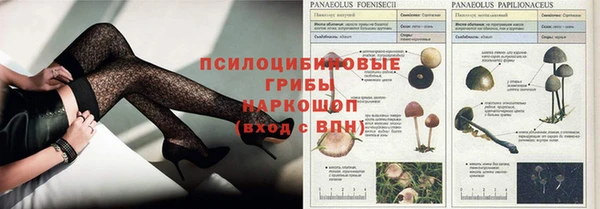 MDMA Кукмор