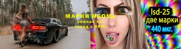 хмурый Вяземский