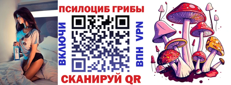 Псилоцибиновые грибы Cubensis  Бабушкин 